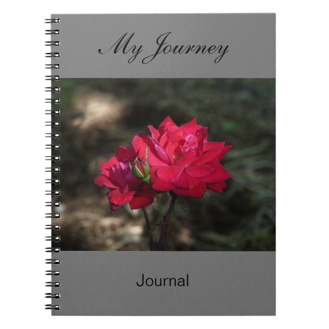 Mon voyage - journal (Devant)