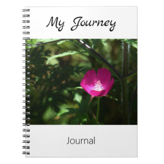 Mon voyage - journal