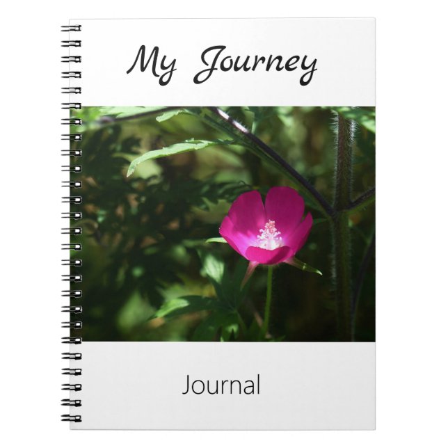 Mon voyage - journal (Devant)