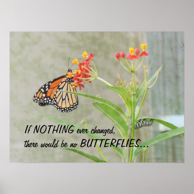 Monarch and Caterpillar Poster with Quote (Devant)