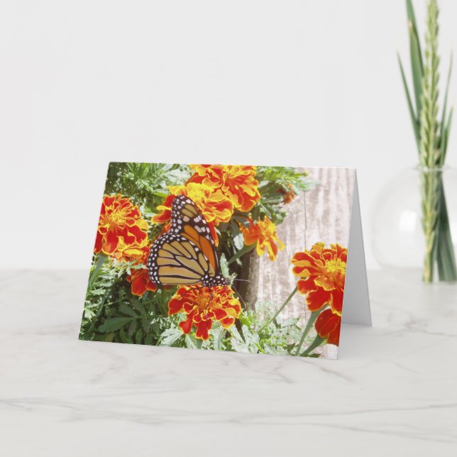 "Monarch Butterfly" - Bonne carte #1 (Devant)