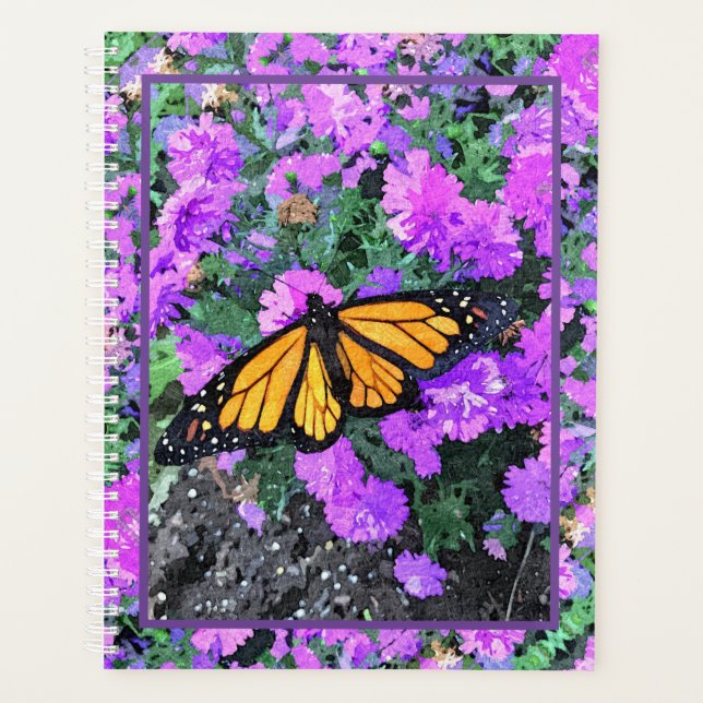 Monarque/Asters du Lg Planner (Devant)
