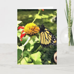 Monarque de cartes de voeux sur Tithonia