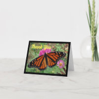 Monarque sur la Carte de remerciements rose Zinnia