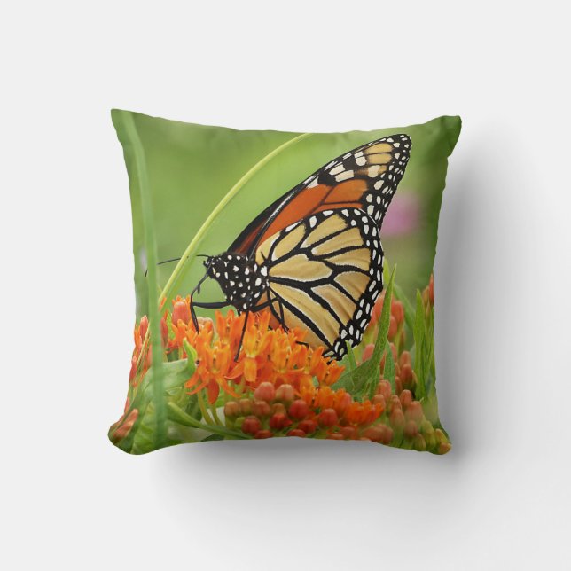 Monarque sur papillon Oreiller (Recto)