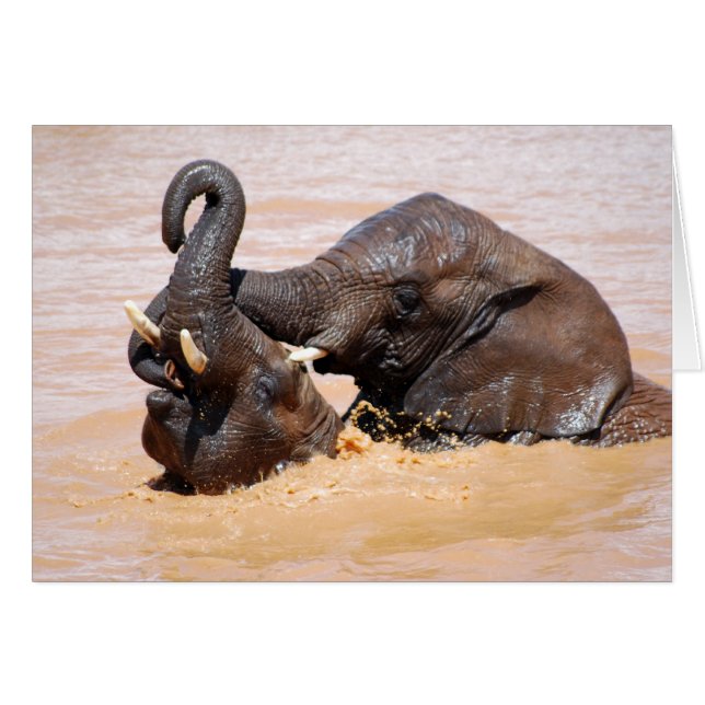 Monde de l'eau des éléphants (Devant horizontal)