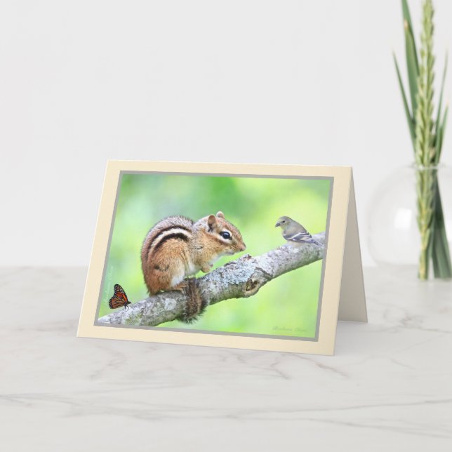 Monde diversifié : chipmunk, oiseau, carte à fleur (Devant)