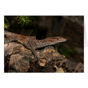 Moniteur de l'arbre localisé