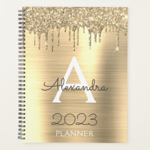 Monogramme Moderne Pailleté Scintillant Or 2023