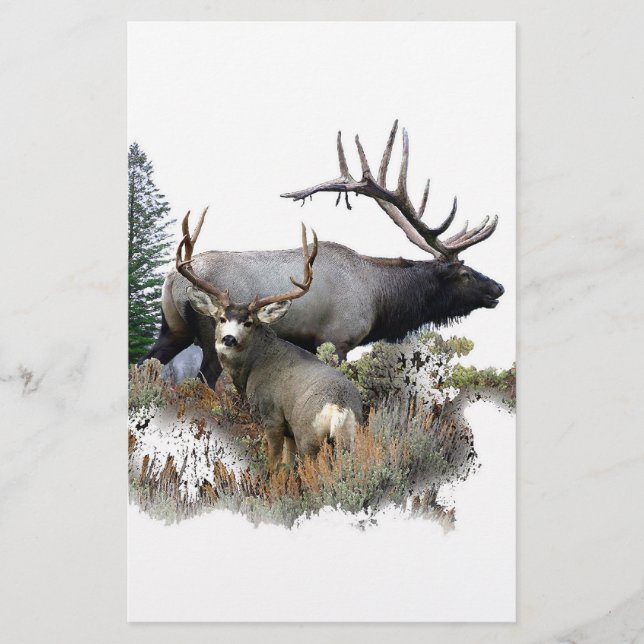 Monster bull trophée buck (Devant)