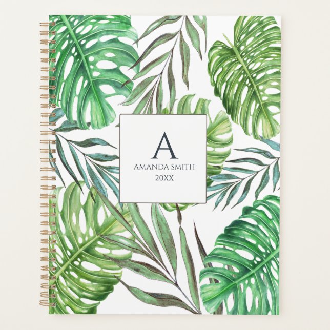 Monstera et feuilles de palmiers (Devant)