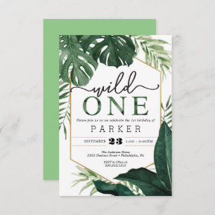 Monstera tropicale Wild One Premier Invitation d'a