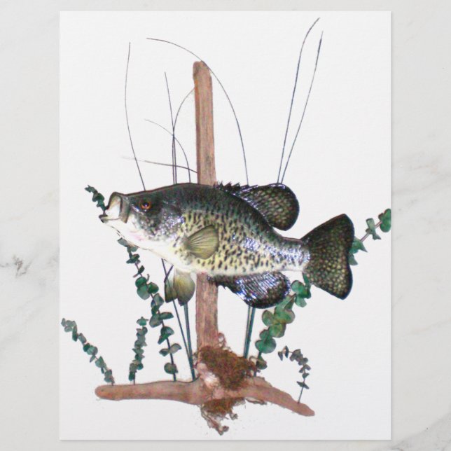 Mont Crappie (Devant)