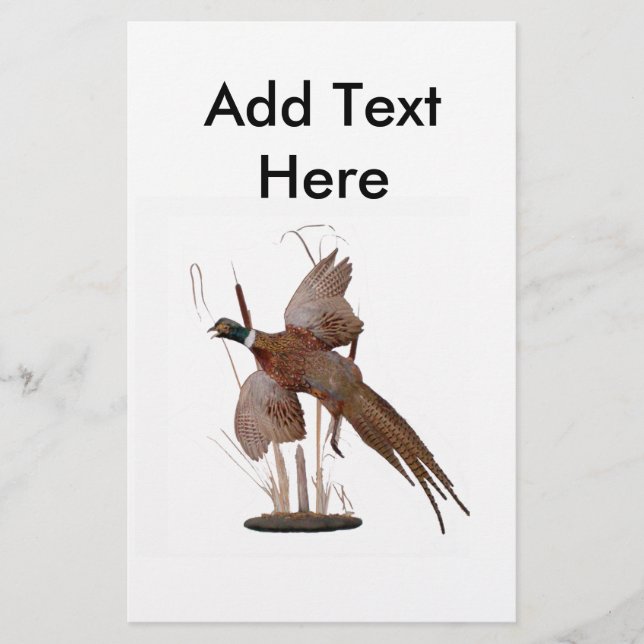 Mont du faisan (Devant)