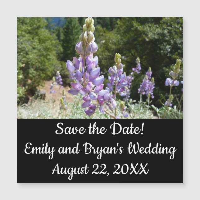 Mont Lupins (Devant)