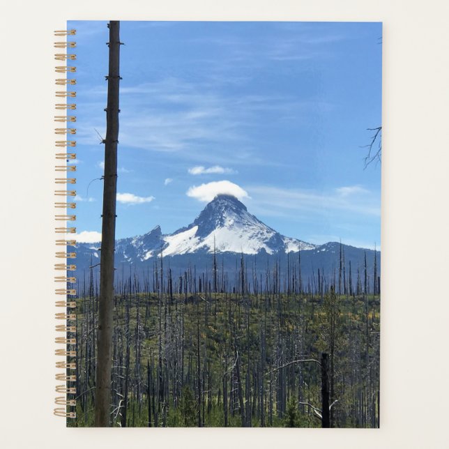 Mont Washington, OR (Devant)