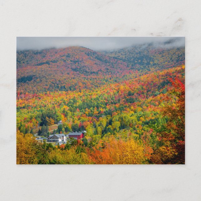 Mont Washington Valley en automne Carte postale (Devant)