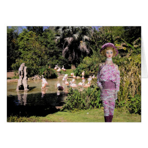 MONTAGE PHOTO DE LA SCÈNE HOUSTON ZOO