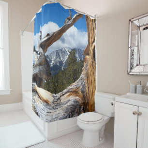 Montagne à travers un rideau de douche d'arbre