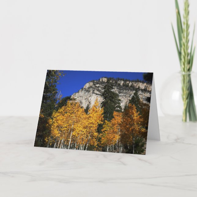 Montagne d'Aspens, Arbres, Carte de voeux vierge (Devant)