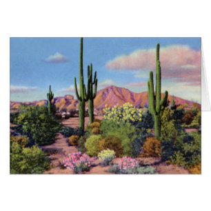 Montagne de Camelback de Phoenix Arizona