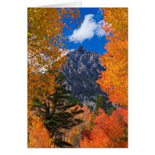 Montagne encadrée par le feuillage d'automne, CA