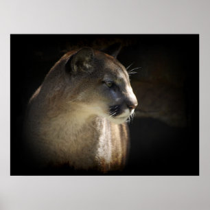 MONTAGNE LION Cougar Big Cat Wildlife Poster