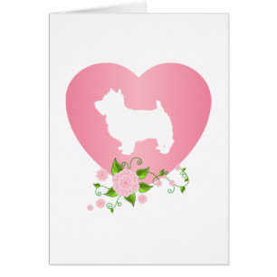 Montagne Terrier blanc occidentale