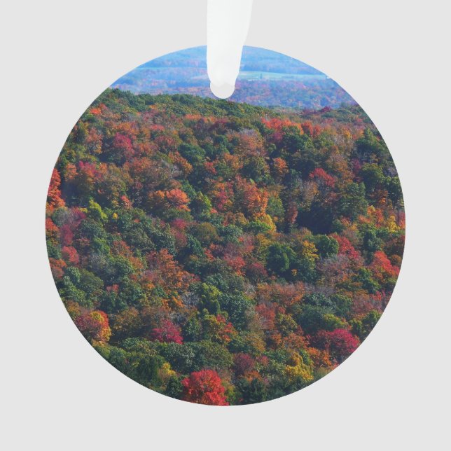 Montagnes Appalaches en automne (devant)