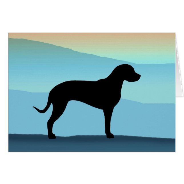Montagnes bleues Catahoula (Devant horizontal)