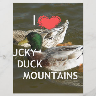 Montagnes de canards.