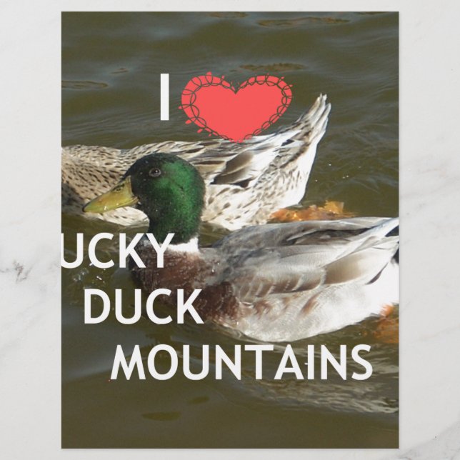 Montagnes de canards. (Devant)