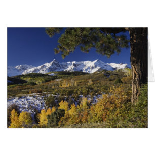 Montagnes de San Juan et arbres d'Aspen en couleur