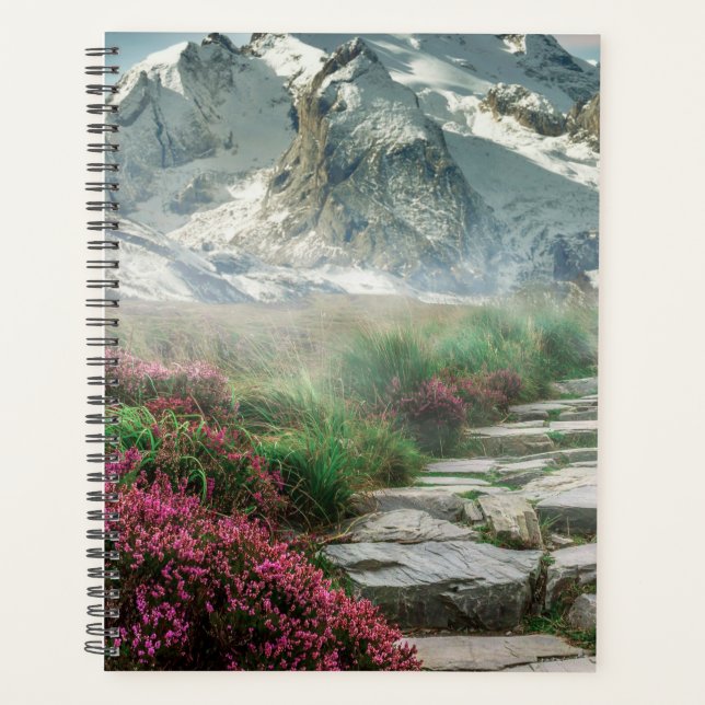 Montagnes enneigées  (Devant)