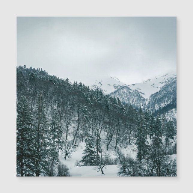 Montagnes neigeuses en Géorgie (Devant)