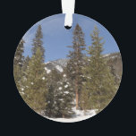 Montana Mountain Trails in Winter Landcape Photo<br><div class="desc">Nous avons fait un voyage d'hiver au Montana et avons fait beaucoup de raquettes au lieu de nos randonnées régulières. Les températures étaient terriblement froides, mais nous avons vu de belles scènes d'hiver comme des arbres enneigés devant des montagnes enneigées. Consultez notre magasin pour plus de belles photos de paysages...</div>