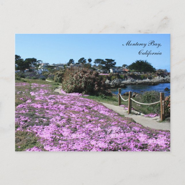 Monterey Bay, carte postale Spring (Devant)