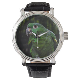 Montre 16 REGARDER le perroquet