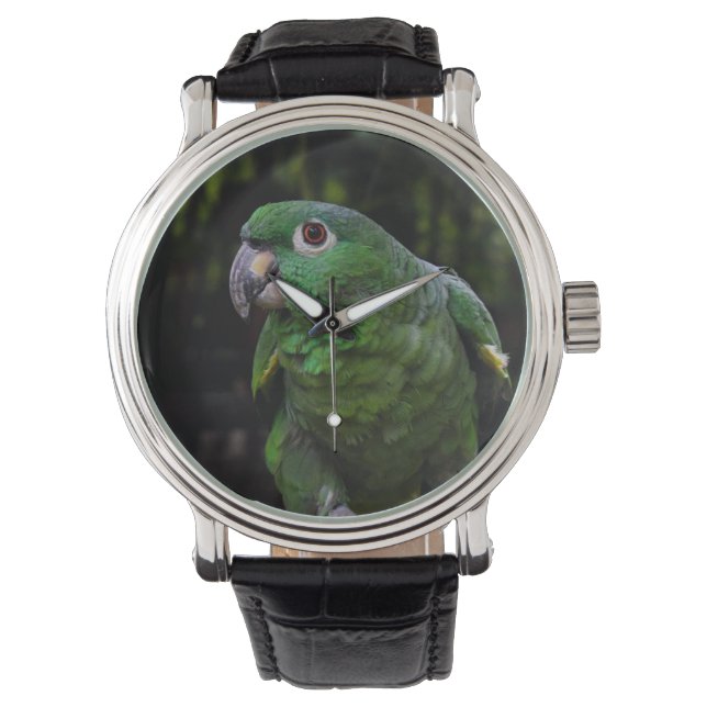 Montre 16 REGARDER le perroquet (devant)