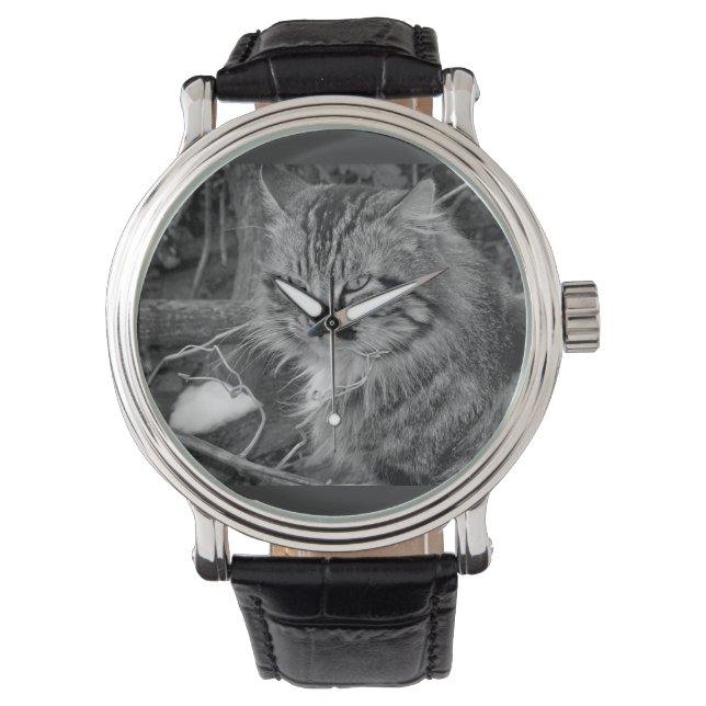 Montre à bracelet chat noir Maine Coon (devant)