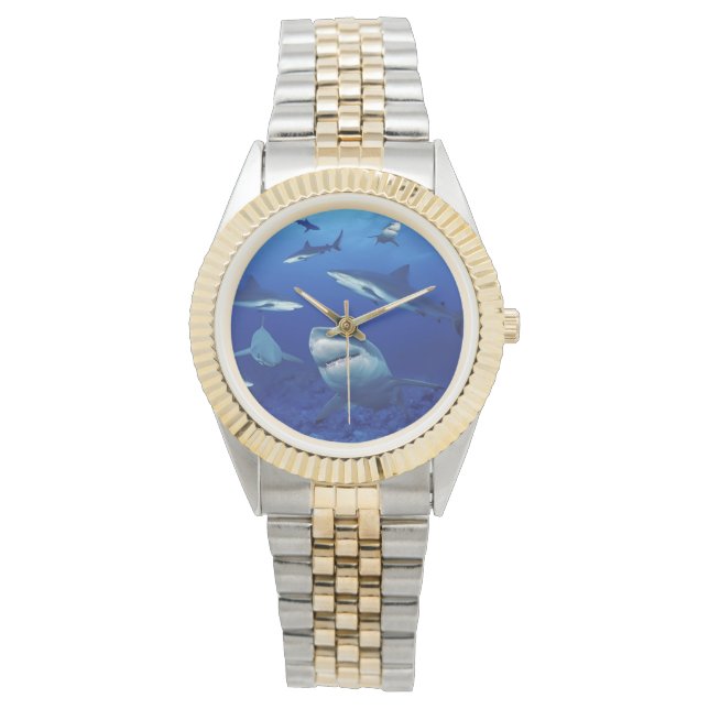Montre à deux tons pour femmes requins (devant)