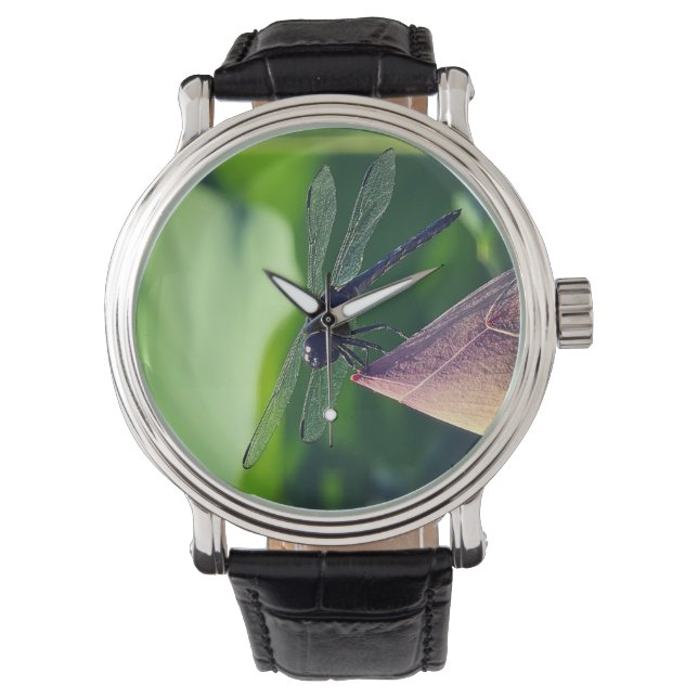 Montre A dragonfly (devant)