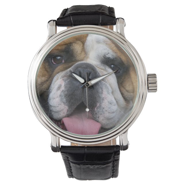 Montre A English bulldog en Belgique. (devant)