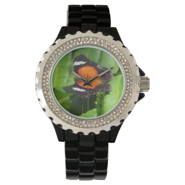 Montre à papillon tropical (devant)