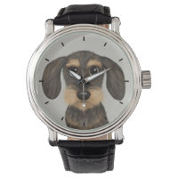 À poils durs Dachshund | Teckel de chien de carica