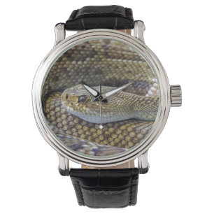 Montre à visage de crotale