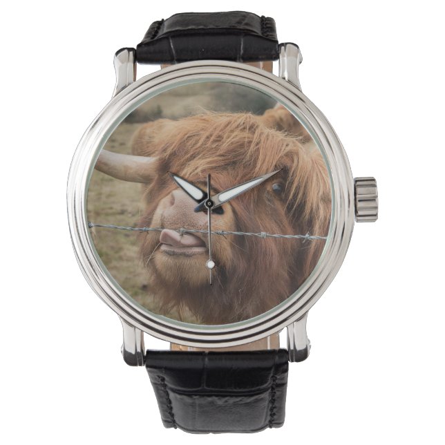 Montre A wonderful photograph of a highland cow (devant)