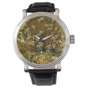 Montre Abeilles dans une ruche, Western Cape, Afrique du