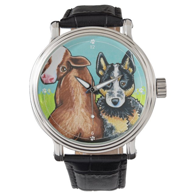 Montre ACD et vache Brown (devant)