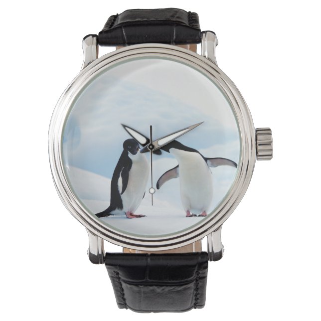 Montre Adelie Penguins (devant)